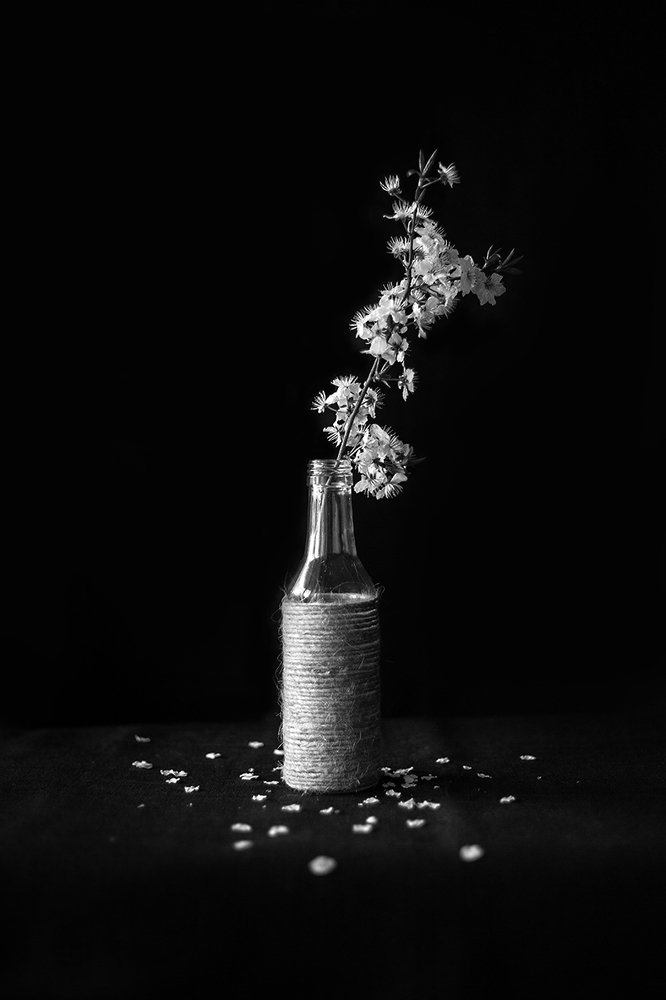 Photograph by Наталья Вистинь