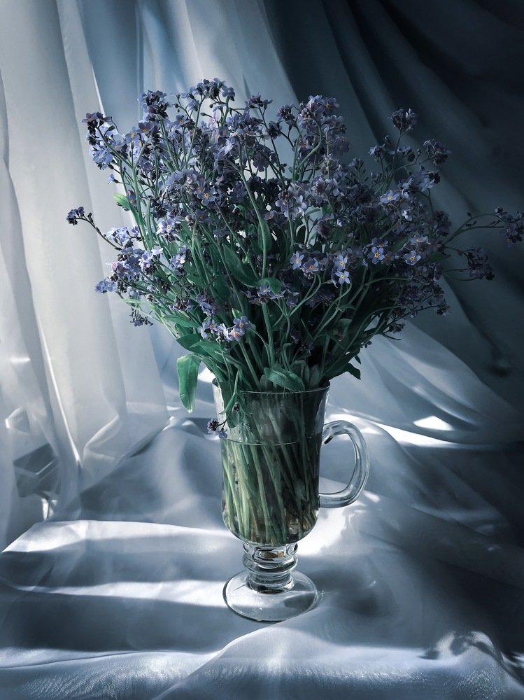 Photograph by Наталья Вистинь