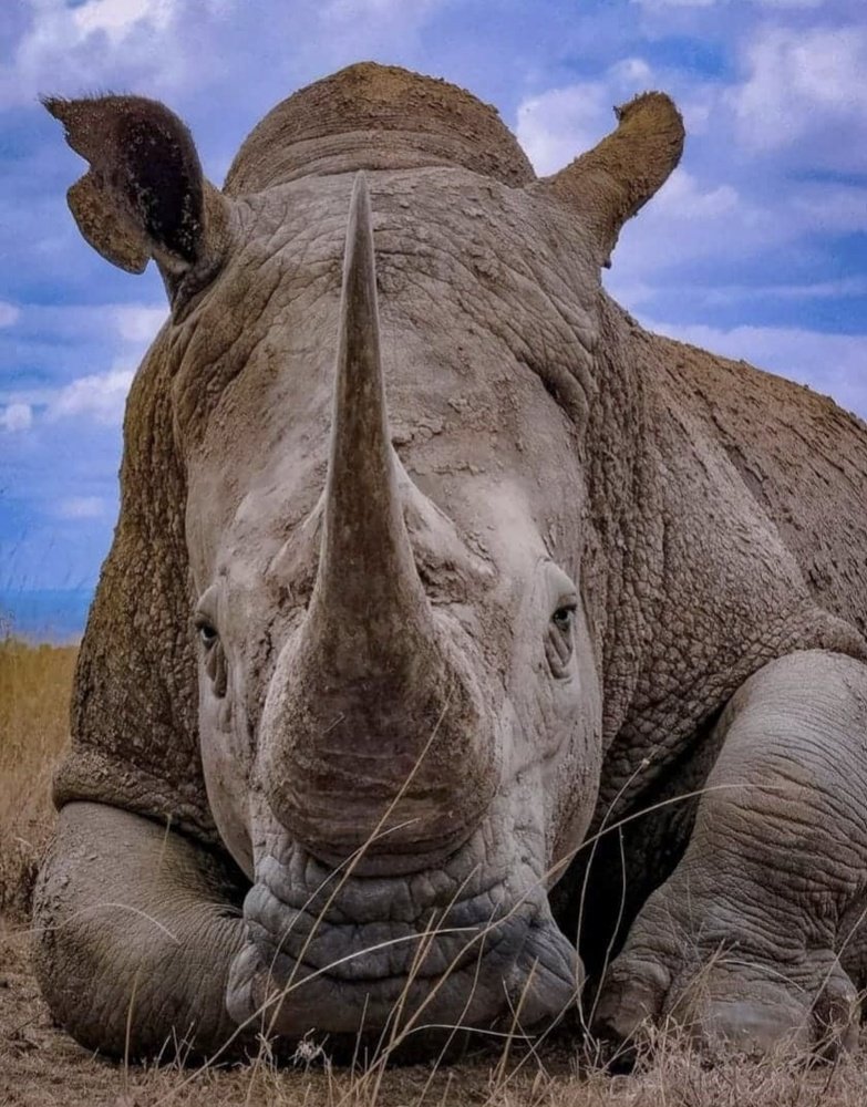 Photograph by Hitesh Kerai