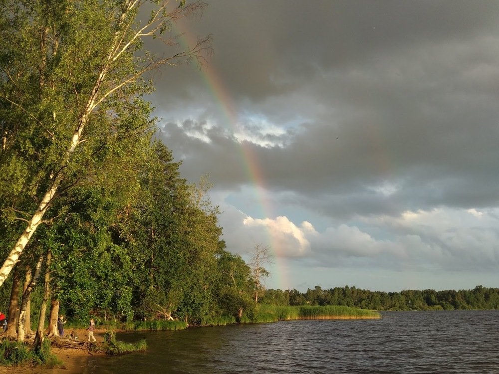 Photograph by Лариса Шишкова