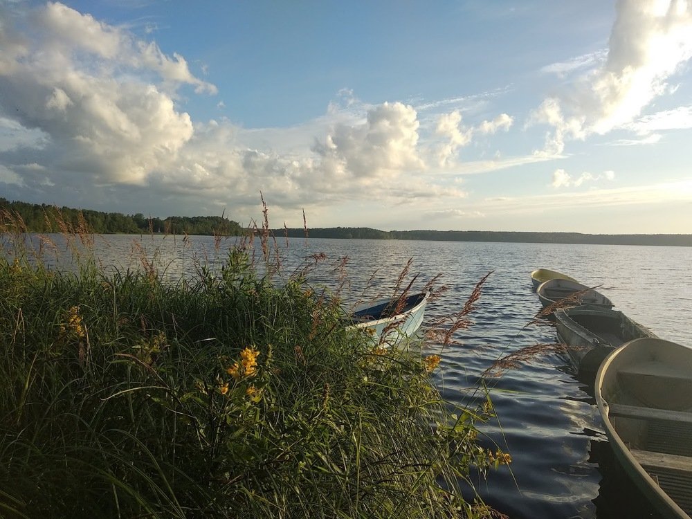 Photograph by Лариса Шишкова