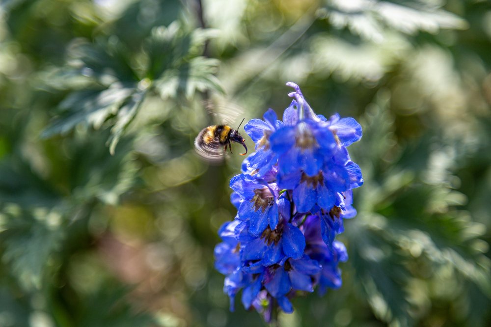 Photograph by Виктор Артёмов