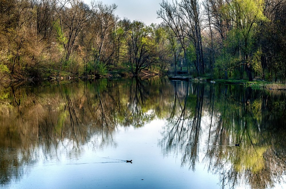 Утреннее городское озеро