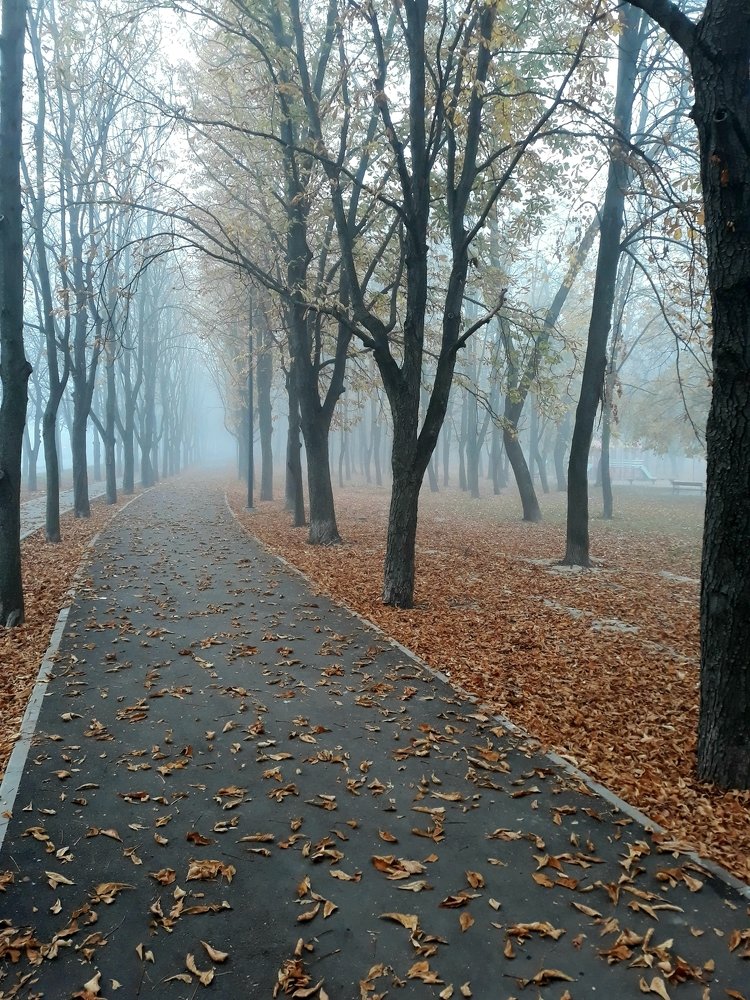 Photograph by Вячеслав