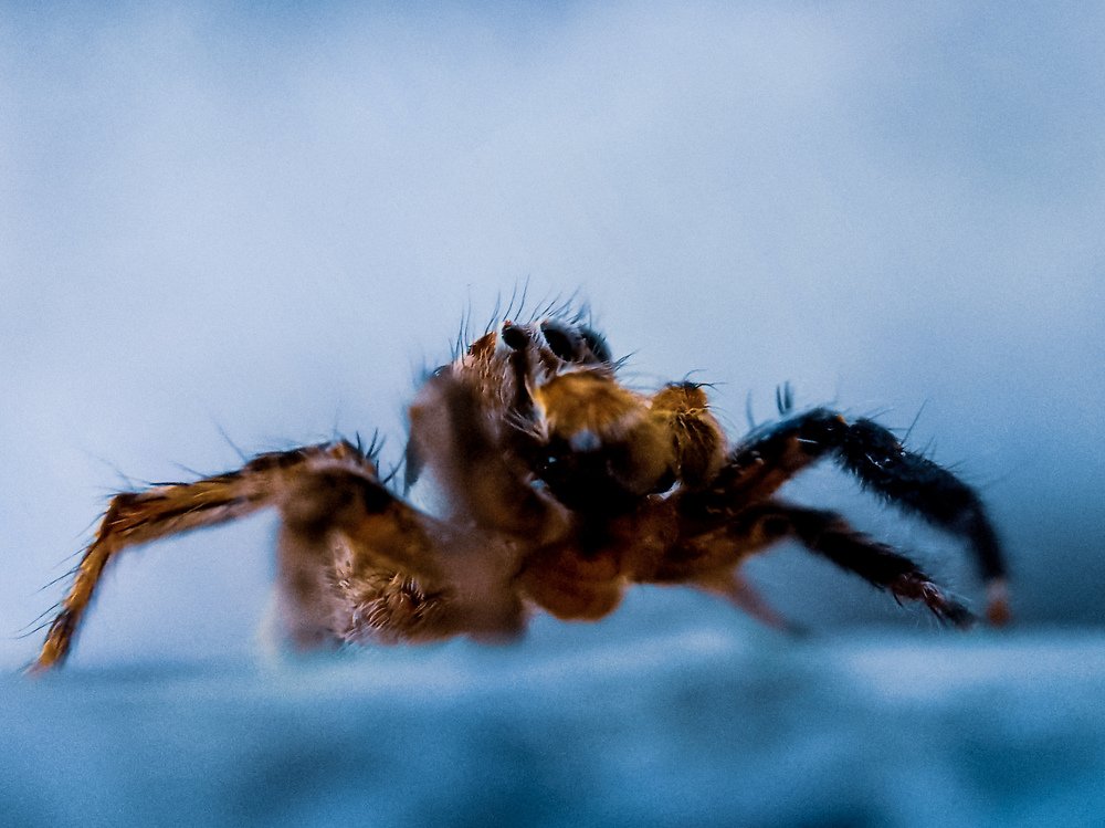 Photograph by Desikan Venkataraghavan