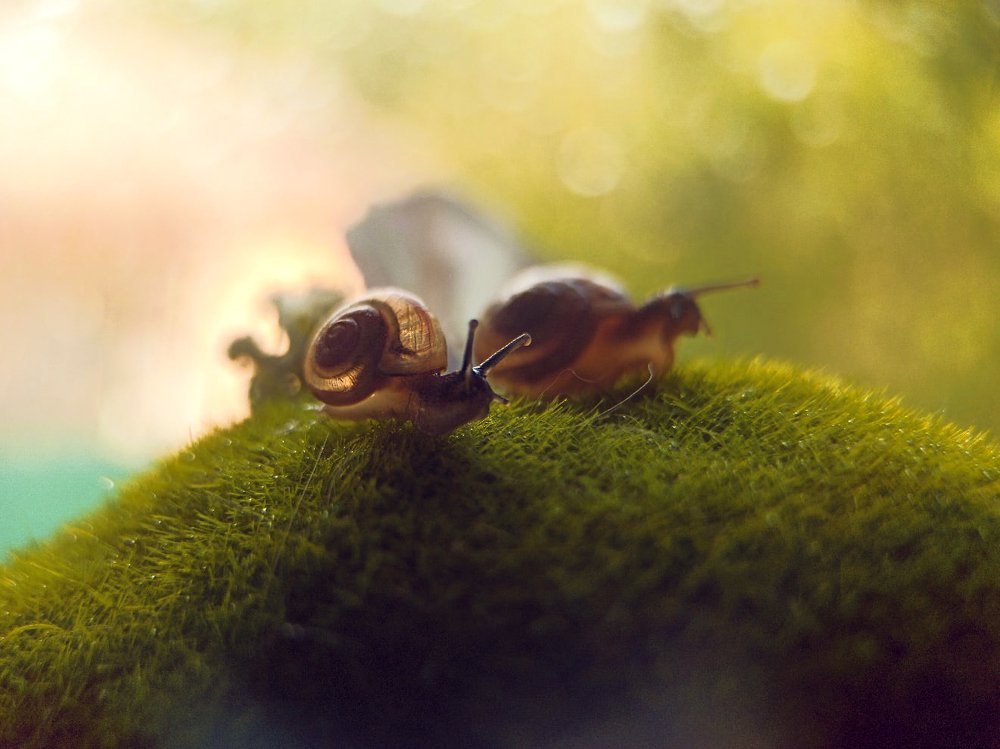 Photograph by Нестерова Карина