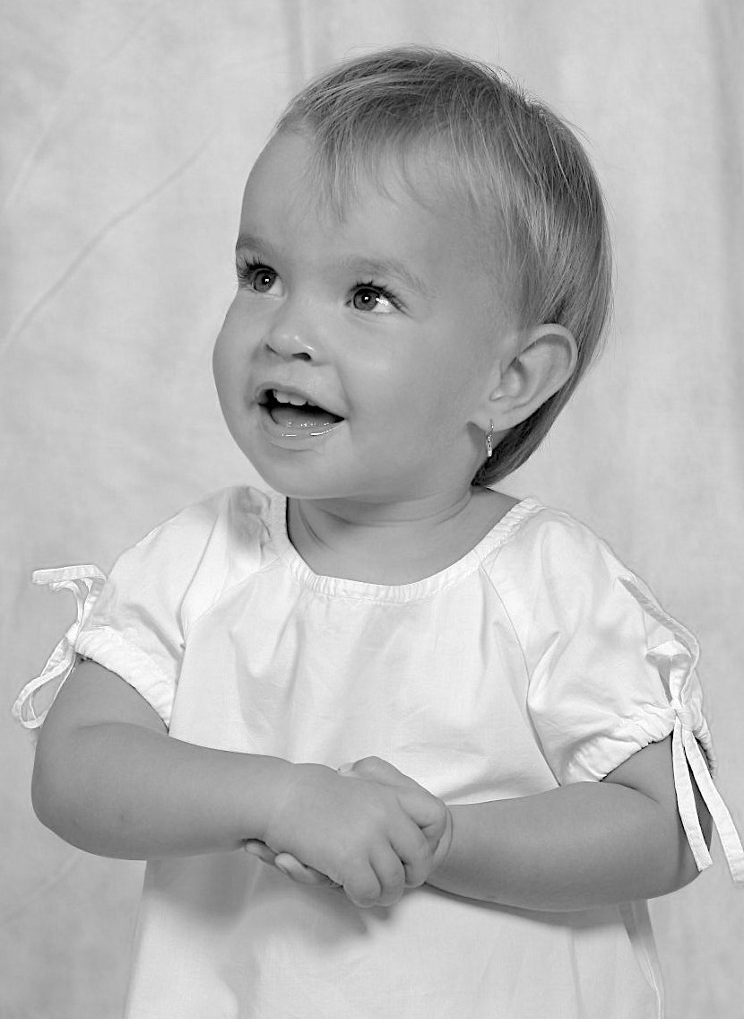 Photo #4788912