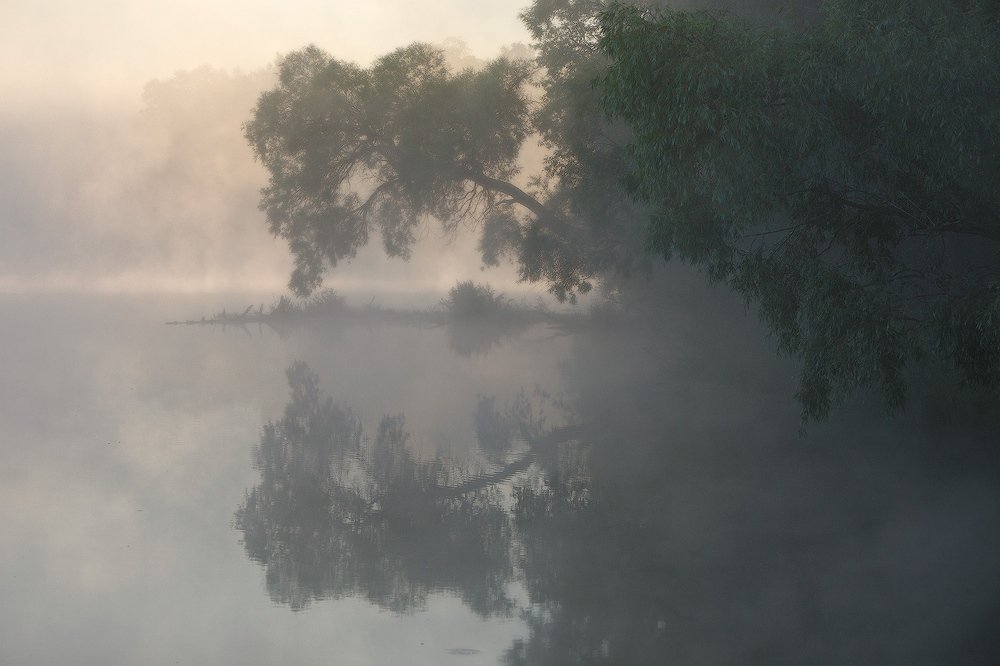 Туманное утро