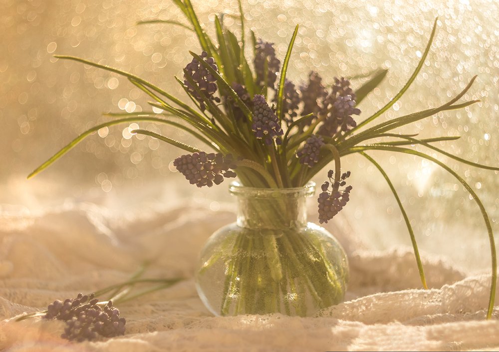 Photograph by Maria Tripoten