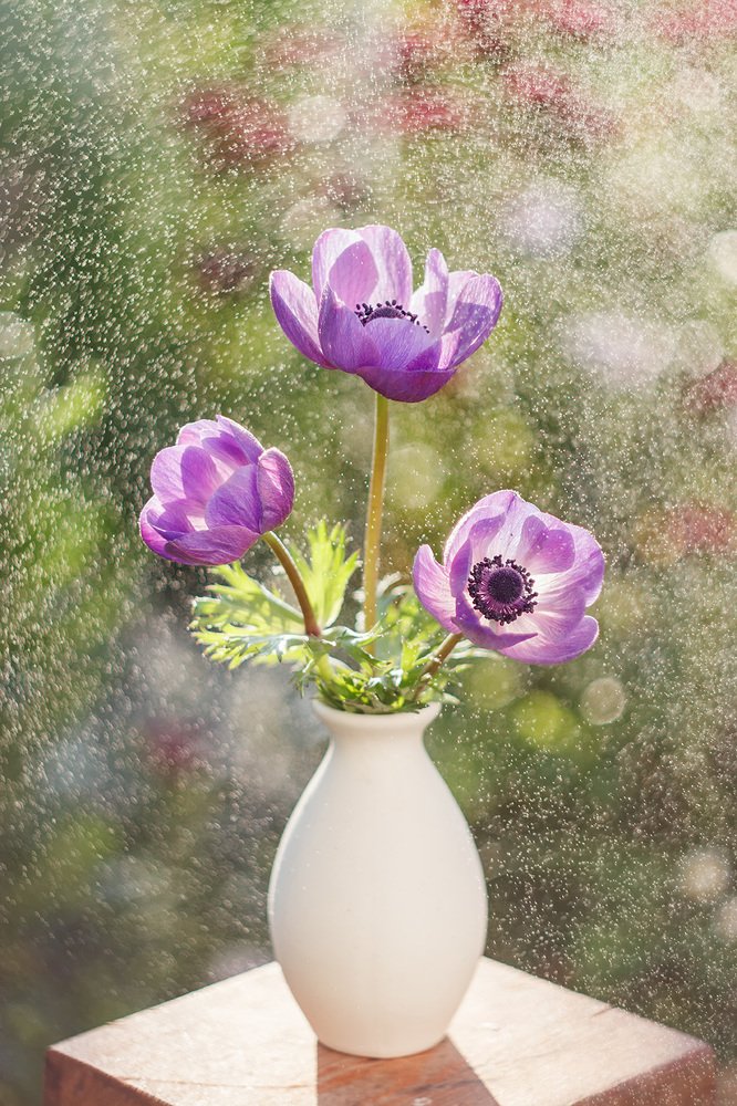 Photograph by Maria Tripoten