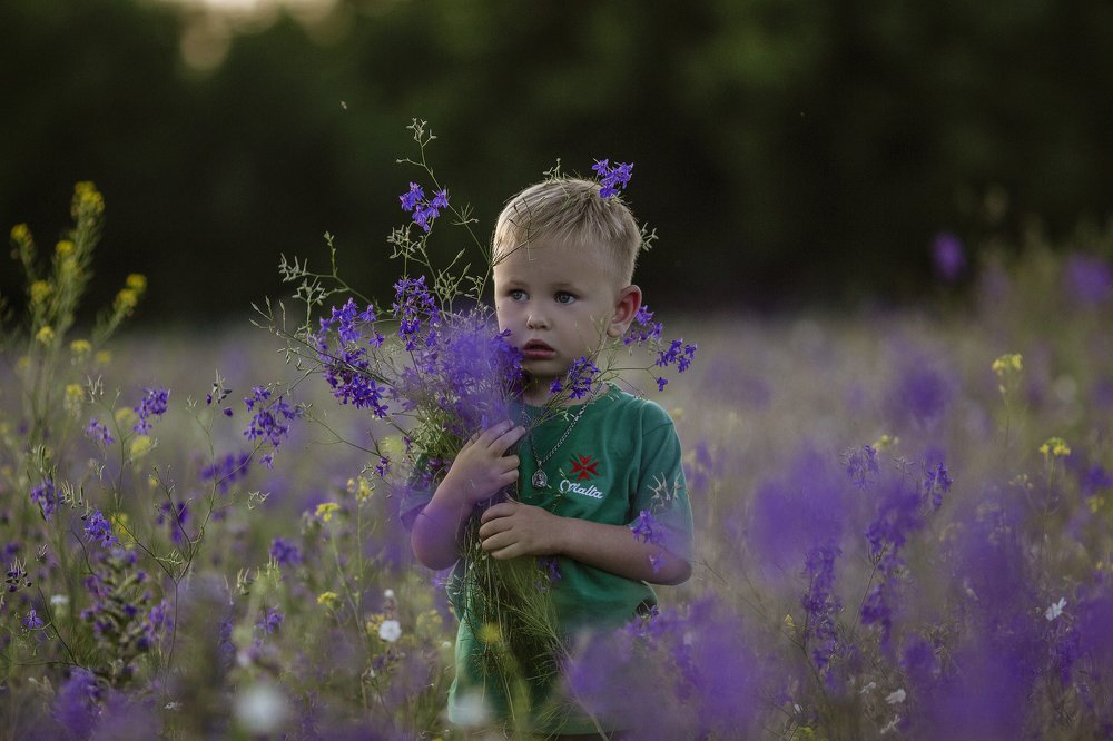 Photograph by Алина Миняйло