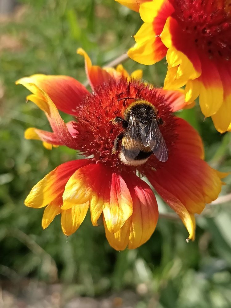 Photograph by Наталия Питолина