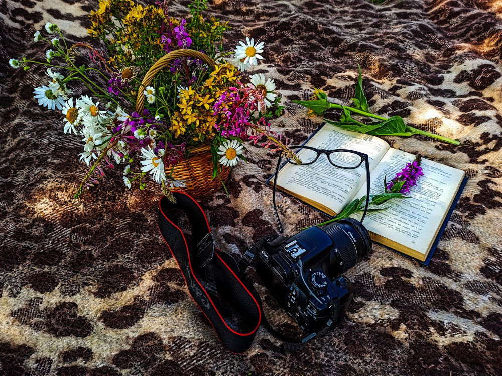 Photograph by Мария Захаркова