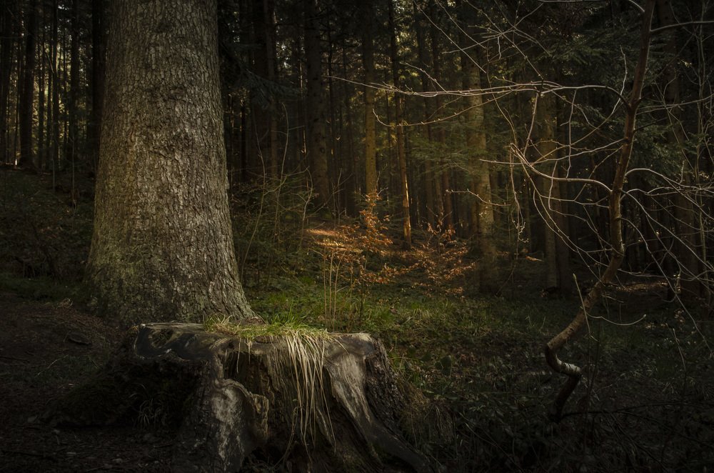 Photograph by Анатолий Коряк