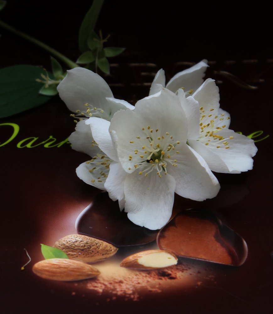 Photograph by Наталья Стальмакова