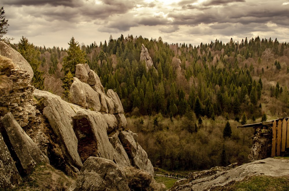 Photograph by Анатолий Коряк