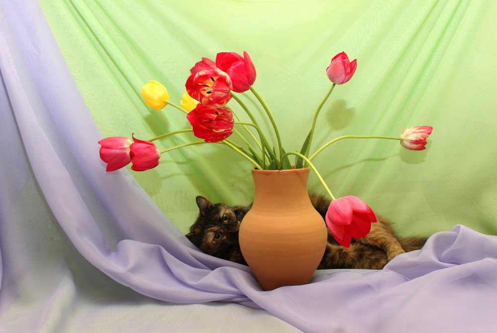 Photograph by Наталья Стальмакова