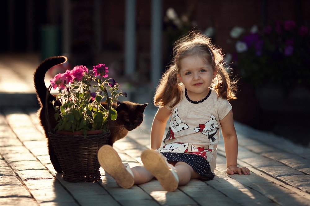 Человек и кошка