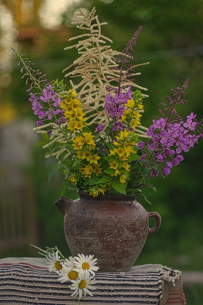 Фотография автора Андрей Шувалов