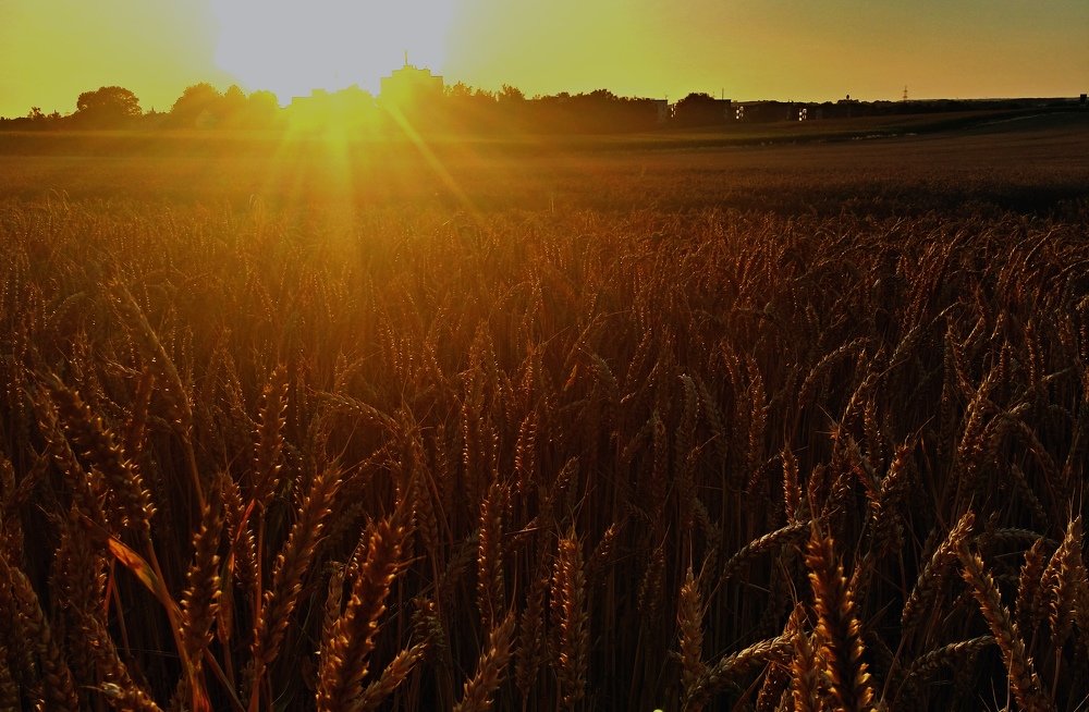 Photograph by Vitalii Kaznin