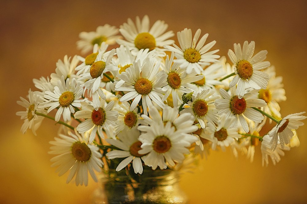 Photograph by Ксения Лысенкова