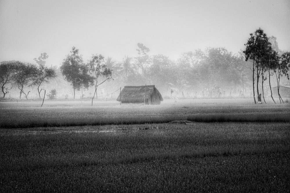 Morning view of farmland.
