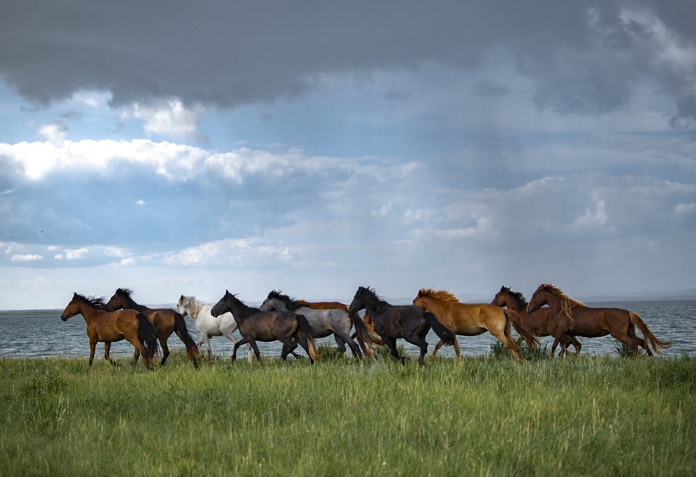 Photograph by Алибек Ибраев