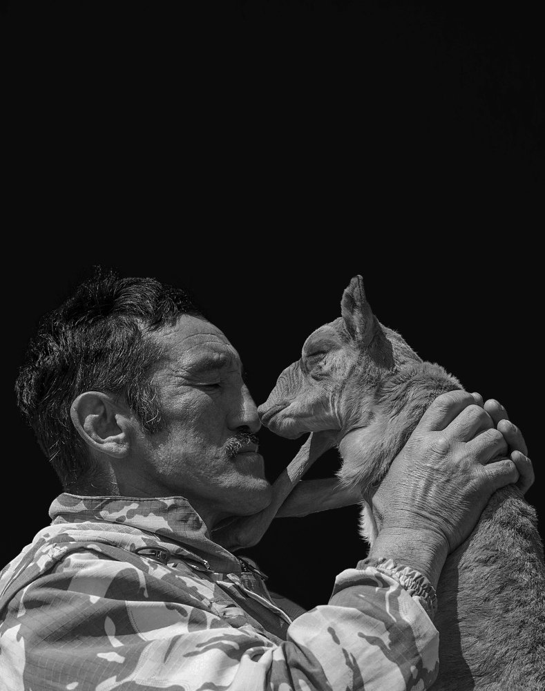 Photograph by Алибек Ибраев