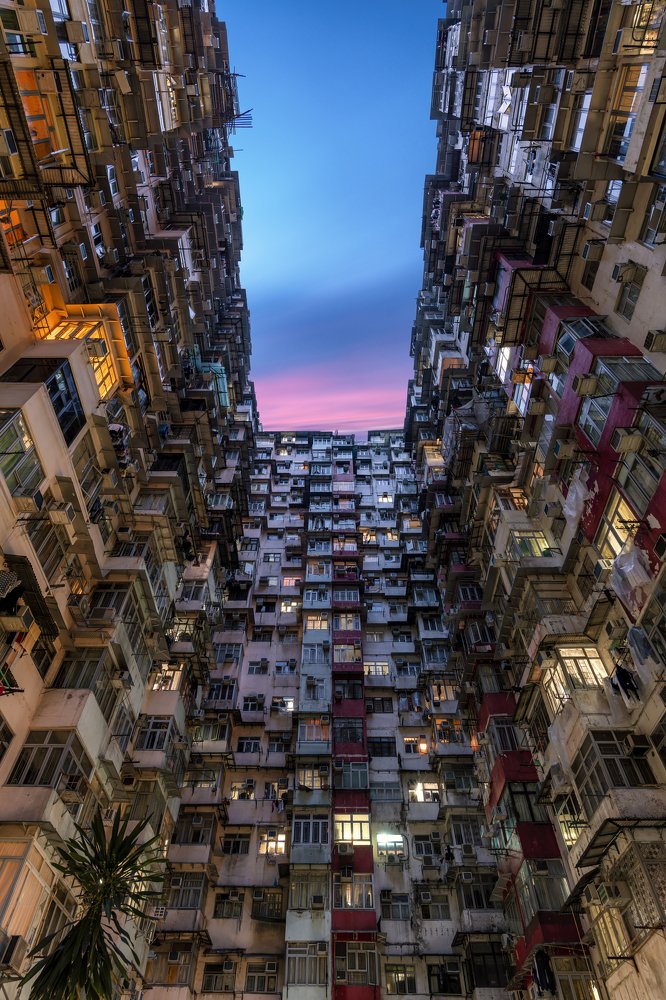 Фотография автора Philippe Newman