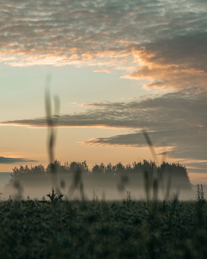 Утренний туман.