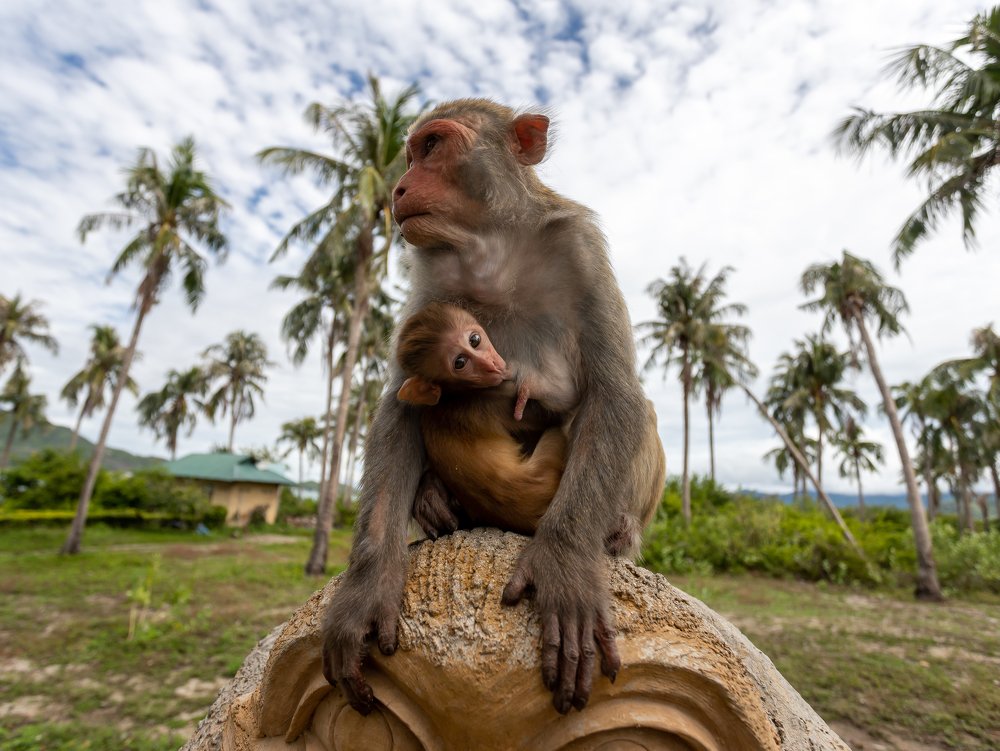 Photograph by Руслан Нигматуллин