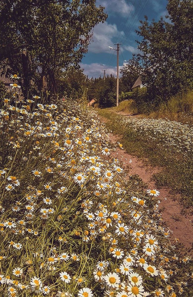 Photograph by Ярослав Ткаченко