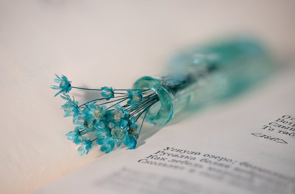 Photograph by Сергей Романченко