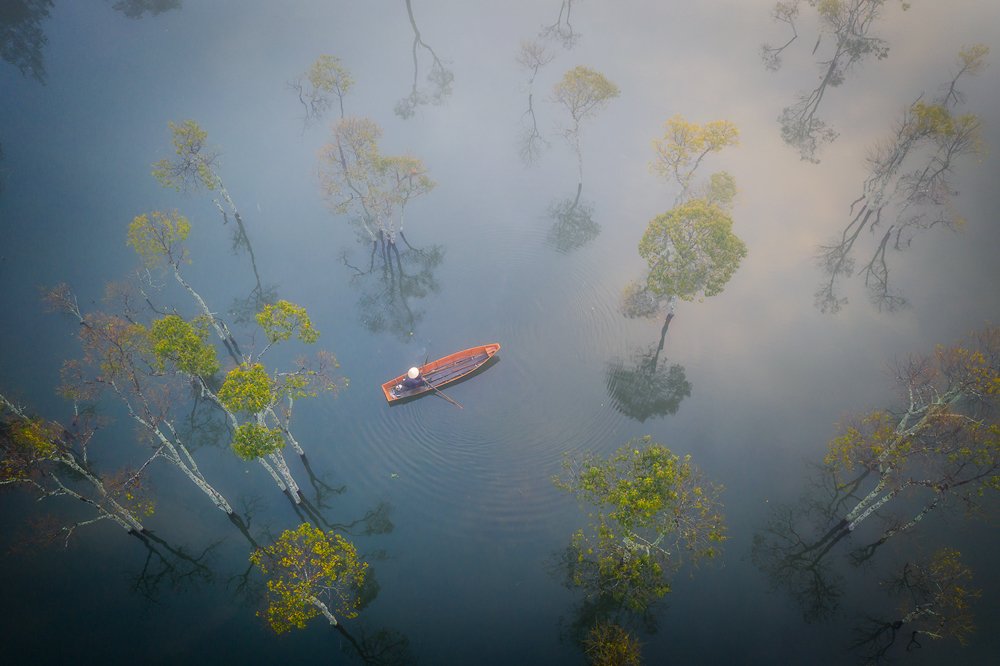 Photograph by Quang Tran