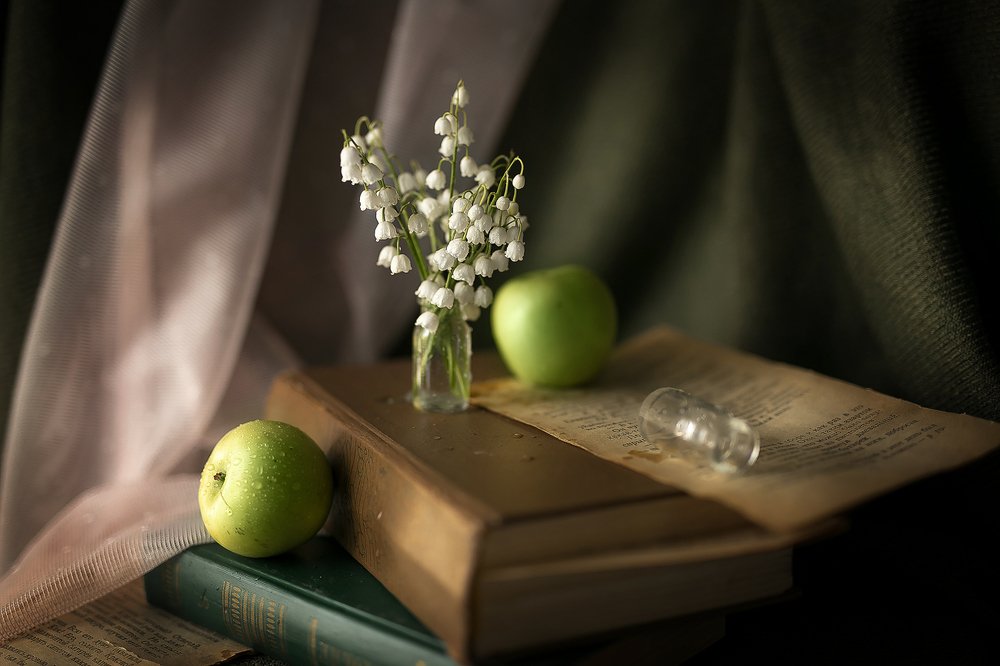 Фотография автора Надежда Бочарникова