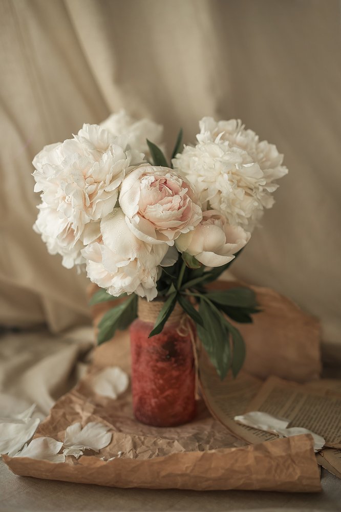 Фотография автора Надежда Бочарникова