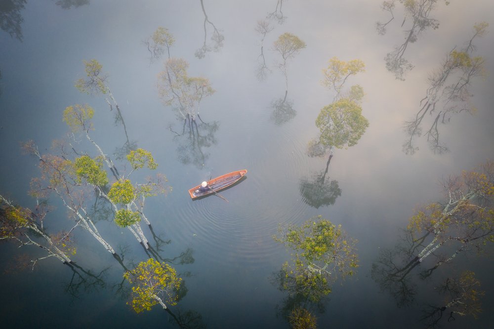 Photograph by Quang Tran