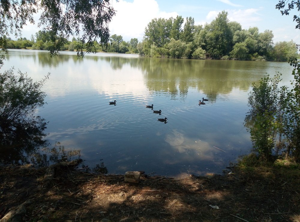 Photograph by Наталія Дронюк