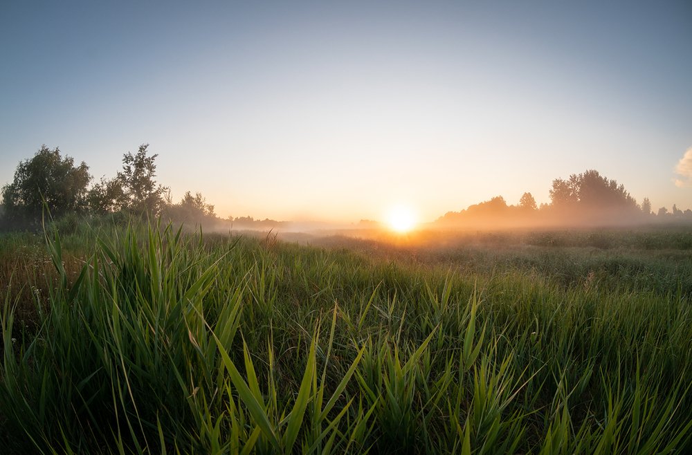 Там, где просыпается Солнце