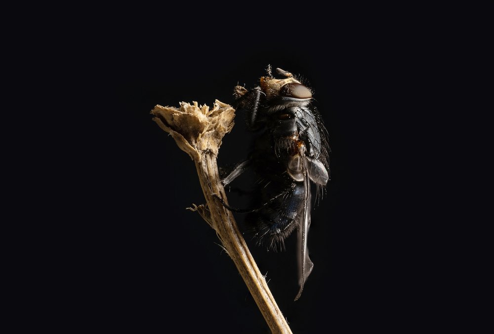 Photograph by Михаил Курихин