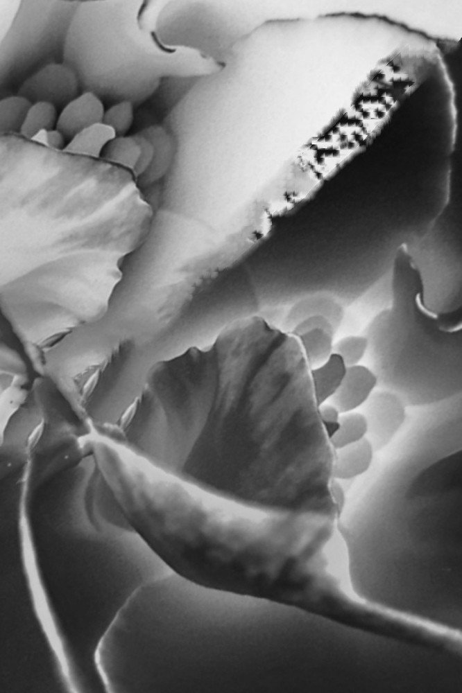 Photograph by Татьяна Чернышова