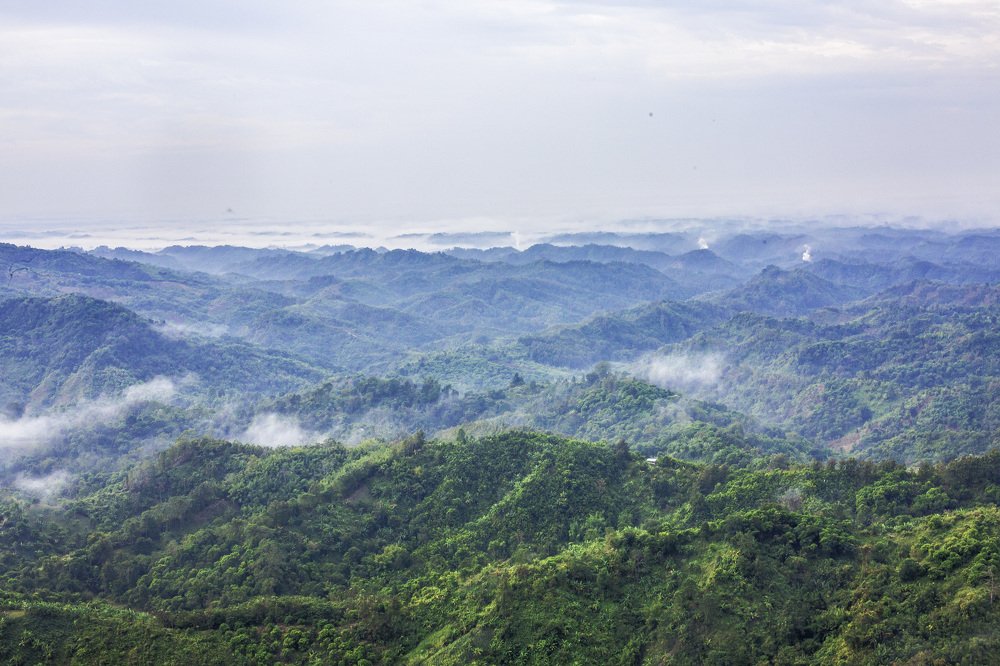 Photograph by sanchayan chowdhury