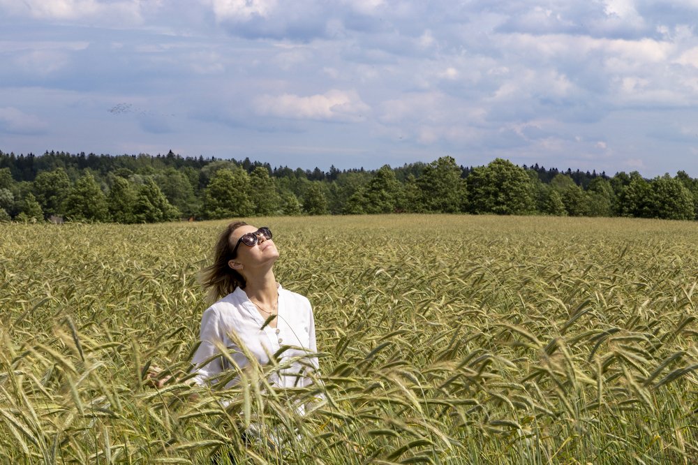 Солнечный день.