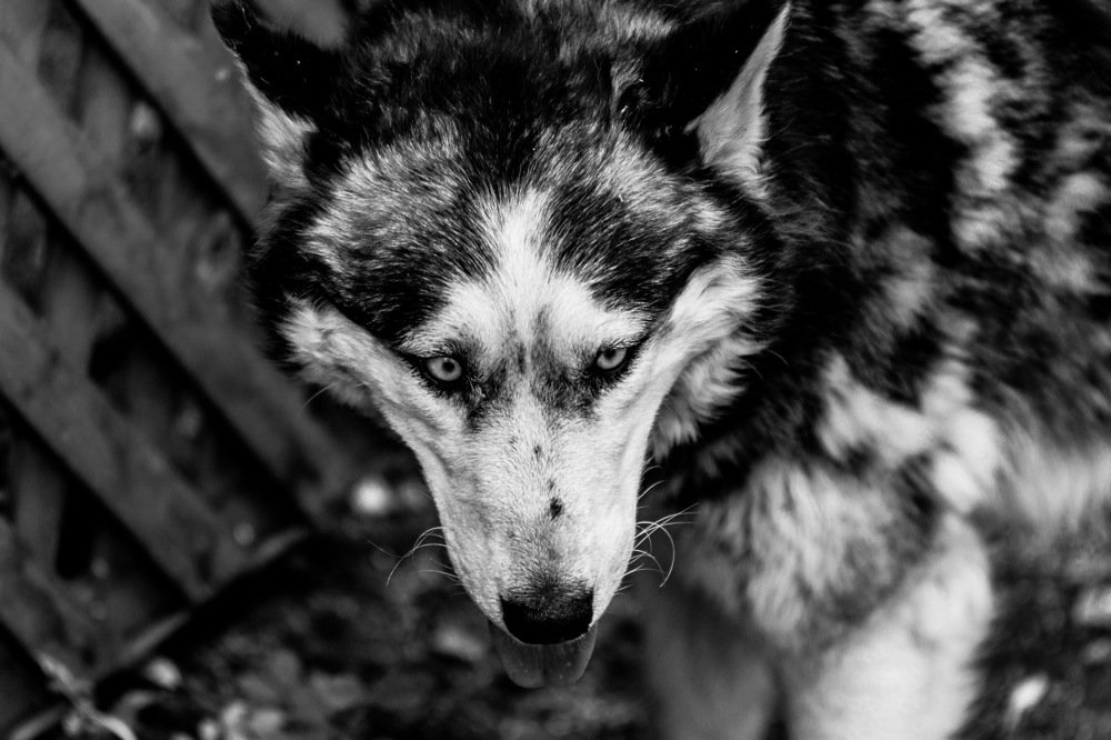 Фотография автора Игорь Игоревич