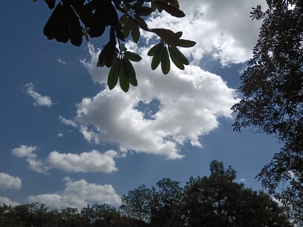 Sky Love