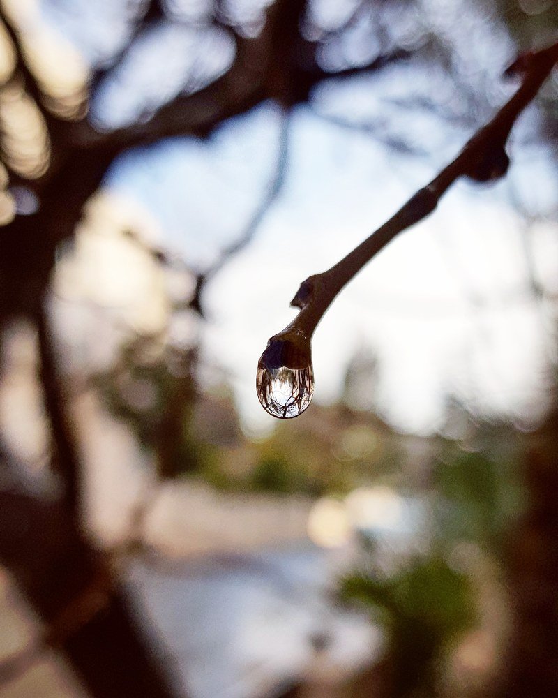 Water Drop