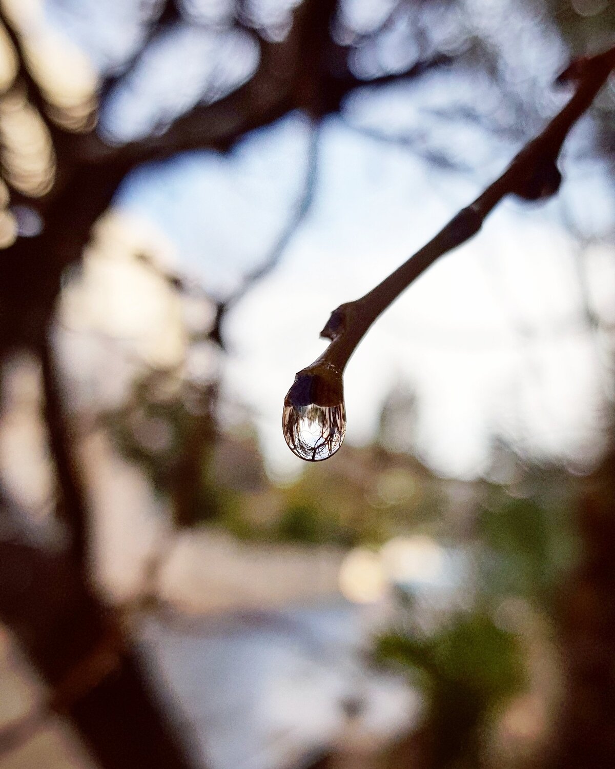 Water Drop
