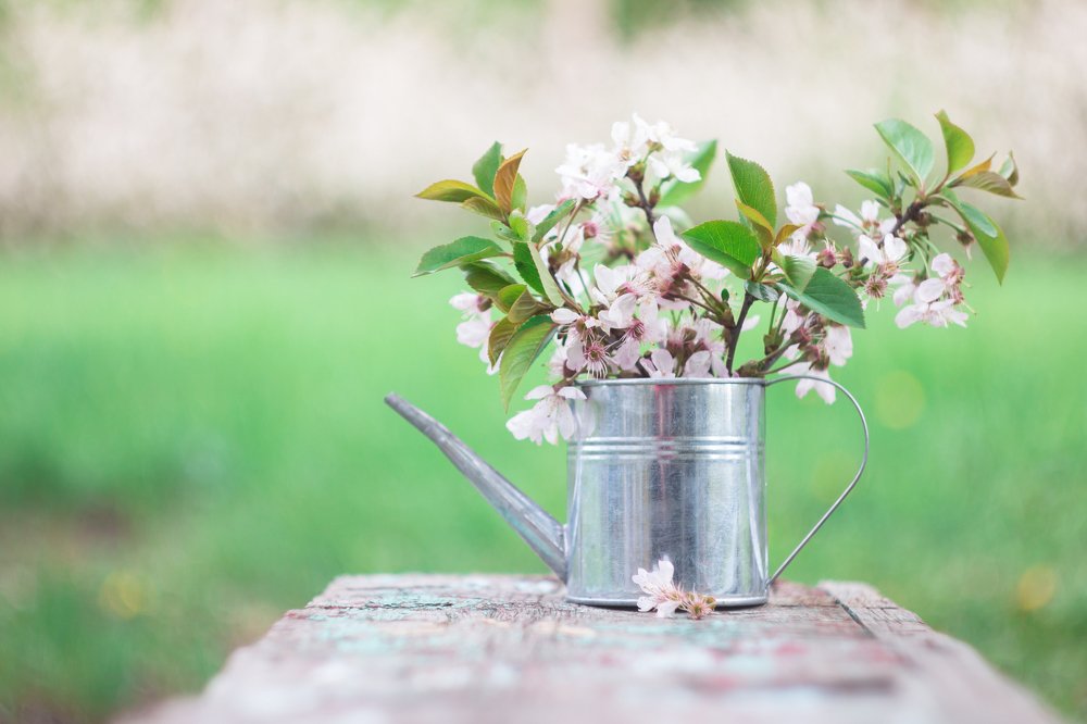 Photograph by Дина Горбачёва