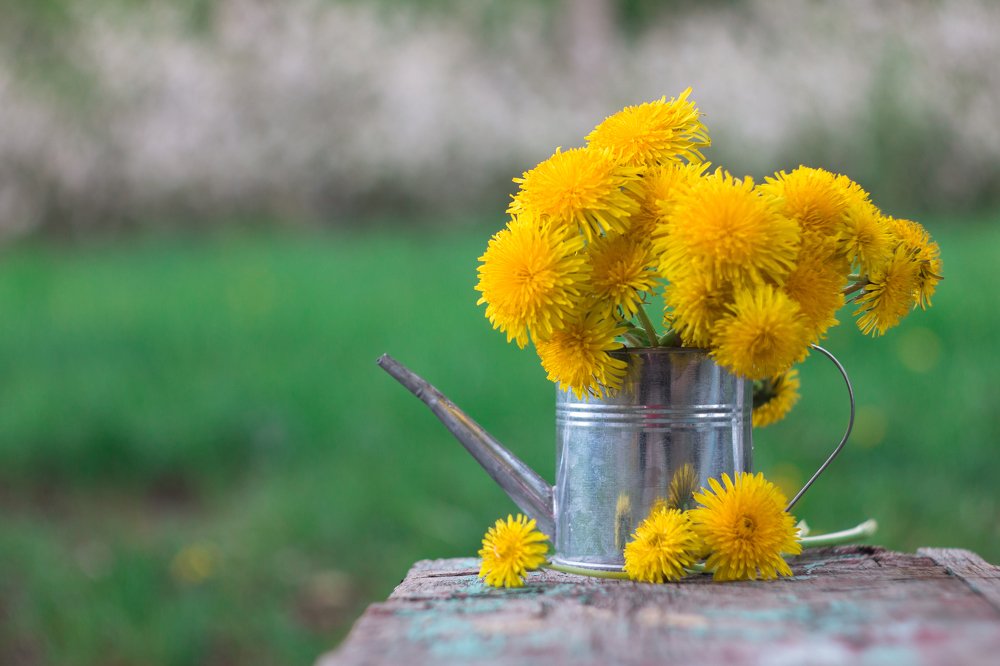 Photograph by Дина Горбачёва