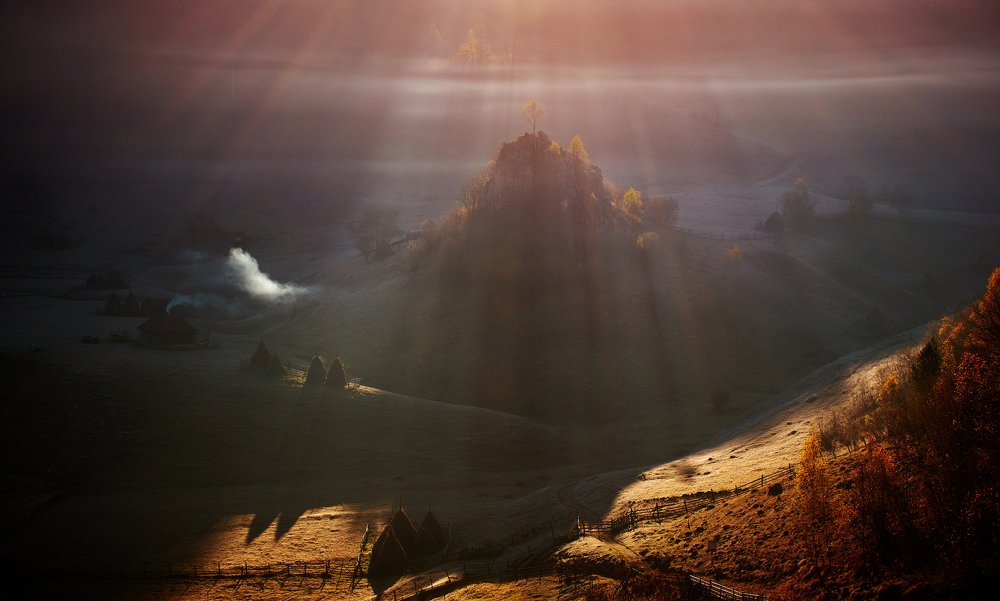 Фотография автора Ceausescu Adriana